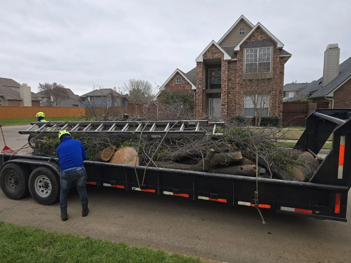 Expert Lot Clearing with proper safety equipment in Pittsfield